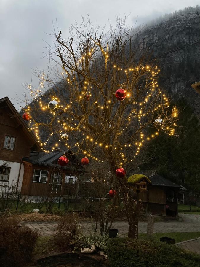Ferienwohnung bon WAB Hallstatt Exterior foto